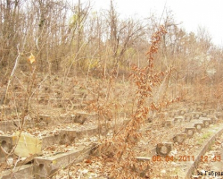 Пейките и поникналите вече там храсти и дървета. Пейките