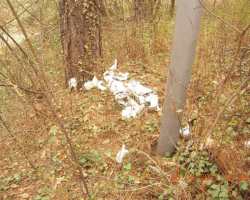 Боклуци в парк Баждар Боклуци