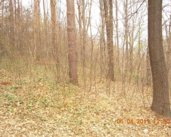 Мястото на статуята със сърничките Тук бяха сърничките