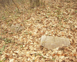 Разбито кошче в парк Баждар Строшеното кошче