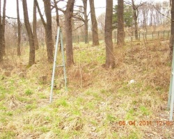 Тук имаше люлки, също и пейки Люлки