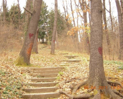 Навярно алея на влюбените Алея на влюбените