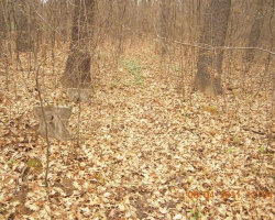 Друга алея и разбита пейка в парк Баждар Друга алея