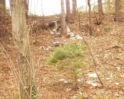 Още от сметището Още боклуци