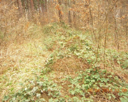 Тук имаше полянка Полянката