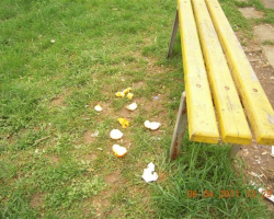 Някой е похапнал портокалче. Пейка с боклуци