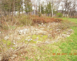 Обраслото и разбито бившо езеро. Езеро