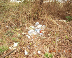 Боклуците пред къщата. В двора на къщата